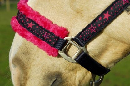 Clearance Cob Head Collars - Image 2