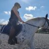 Indigo Blue CC Saddle Pad - Image 3