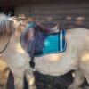Jade Green CC Saddle Pad - Image 2